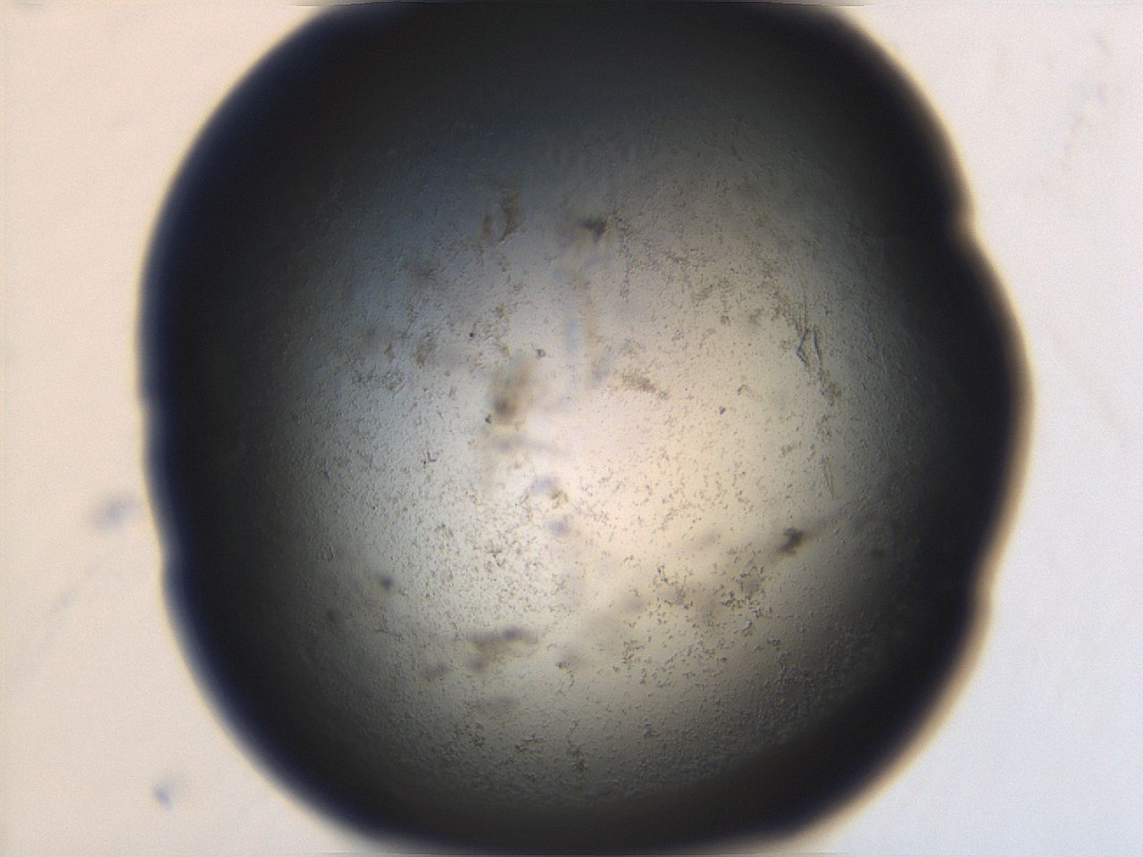 06eb_A6_ImagerDefaults_3.jpg
