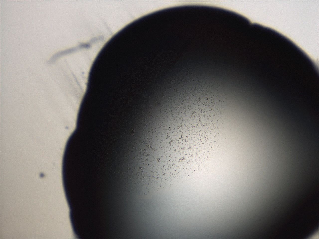 06eb_A7_ImagerDefaults_3.jpg