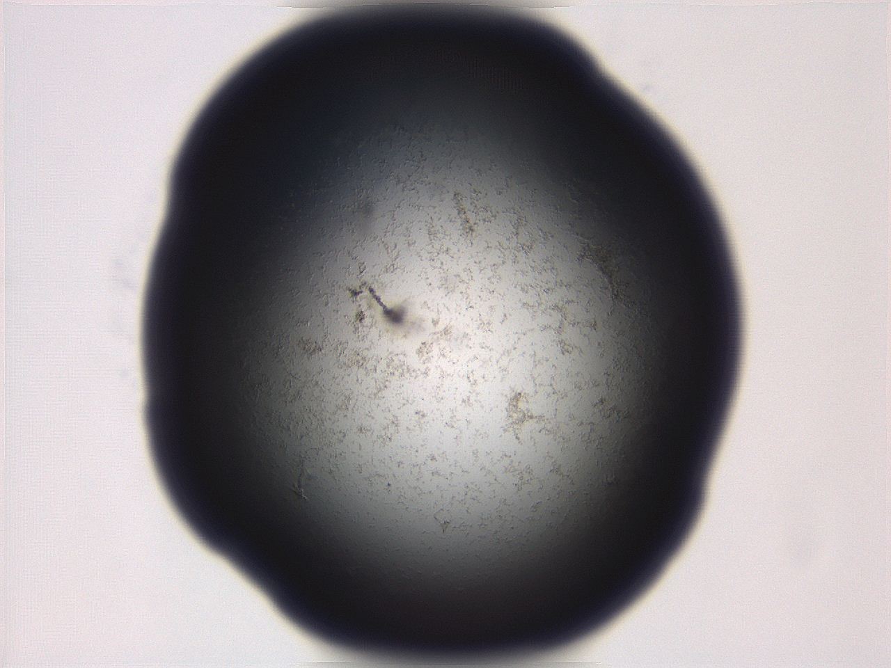 06eb_A8_ImagerDefaults_3.jpg