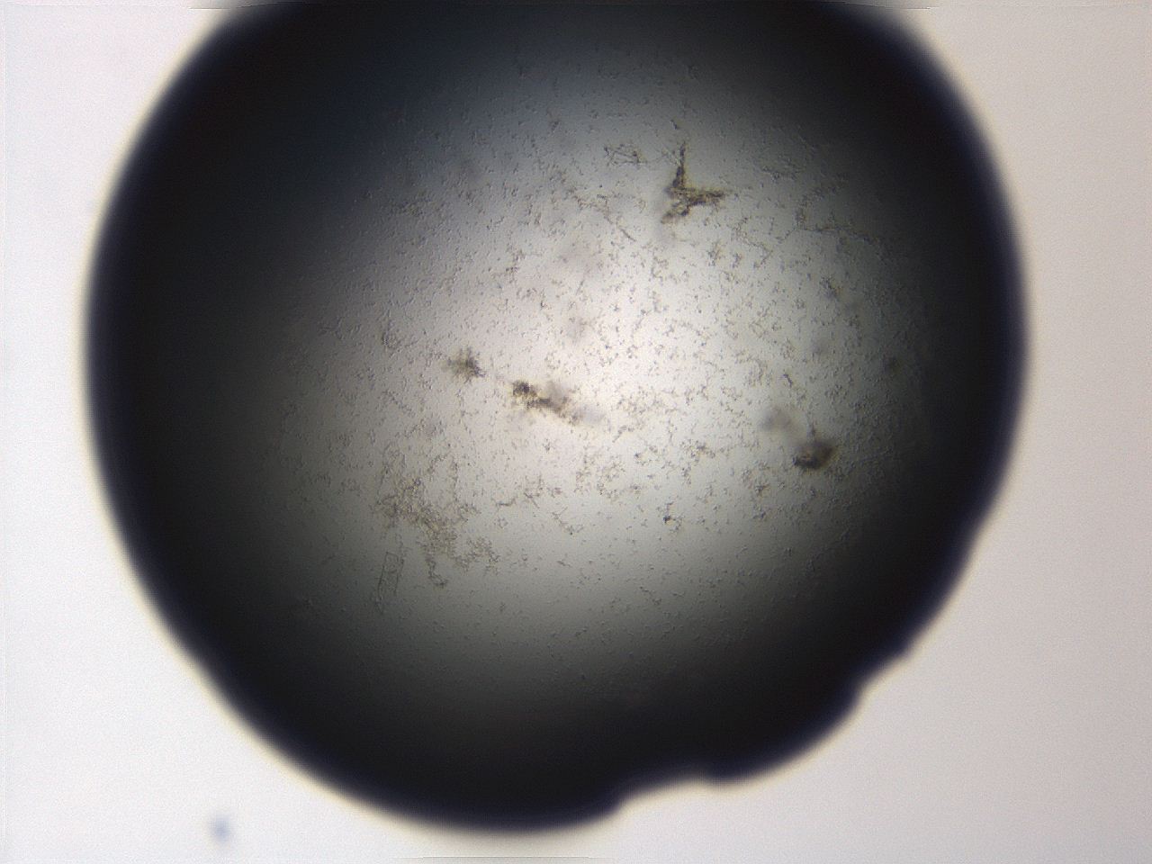 06eb_A9_ImagerDefaults_3.jpg