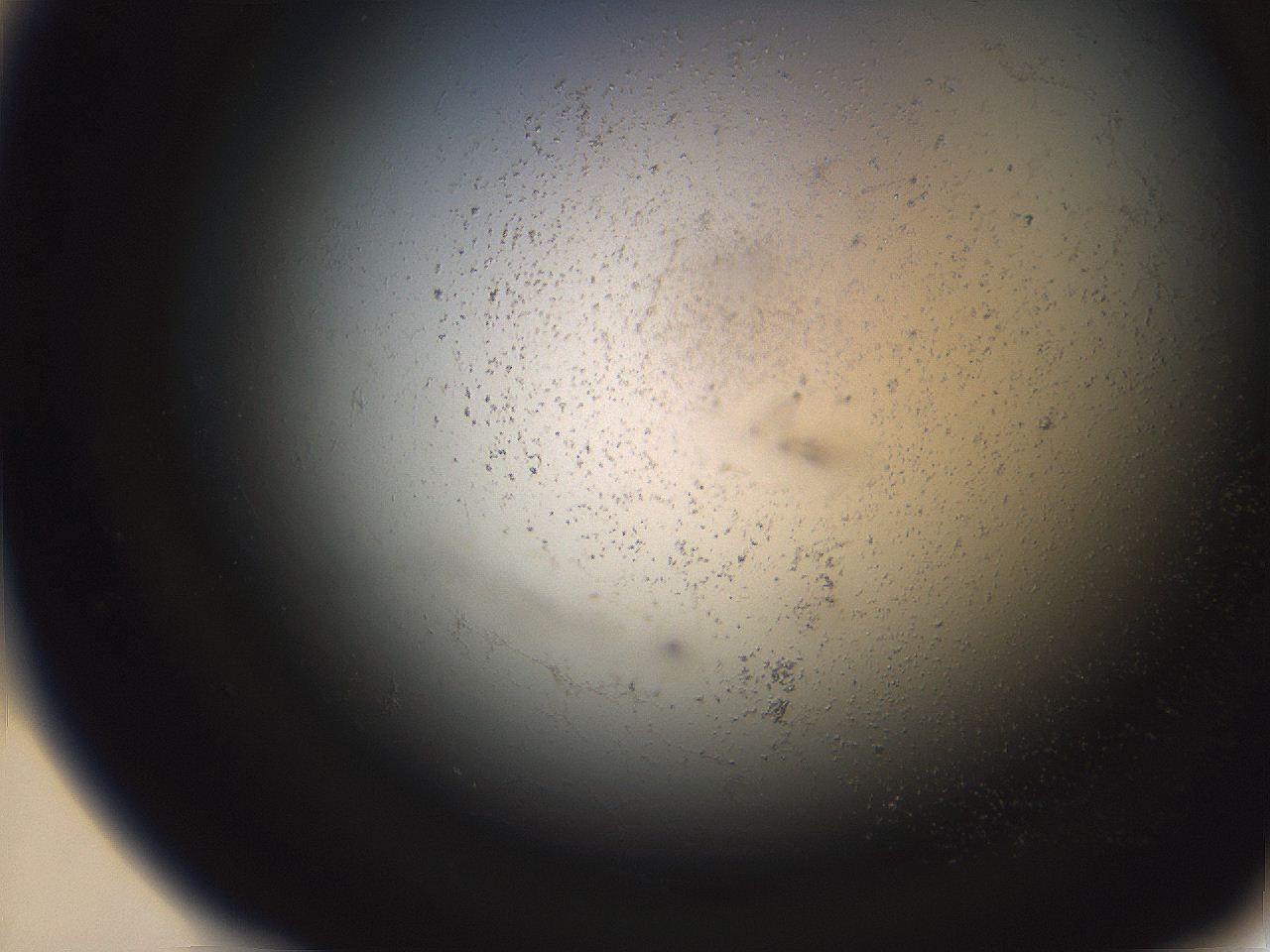 06eb_A10_ImagerDefaults_3.jpg