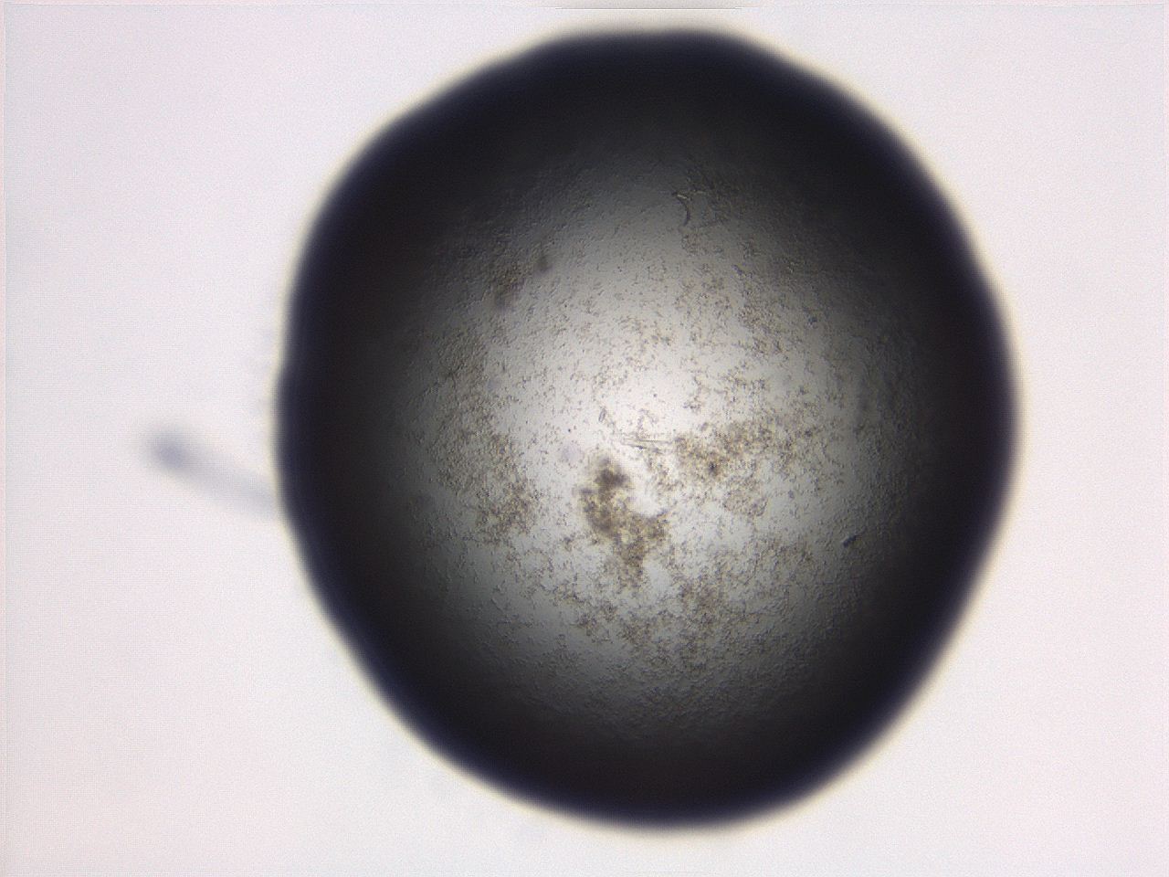06eb_A11_ImagerDefaults_3.jpg