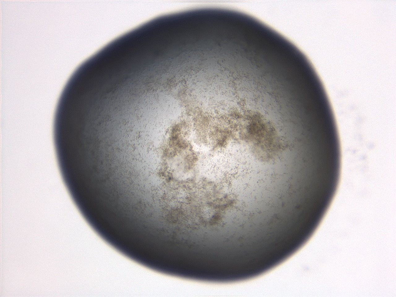 06eb_A12_ImagerDefaults_3.jpg
