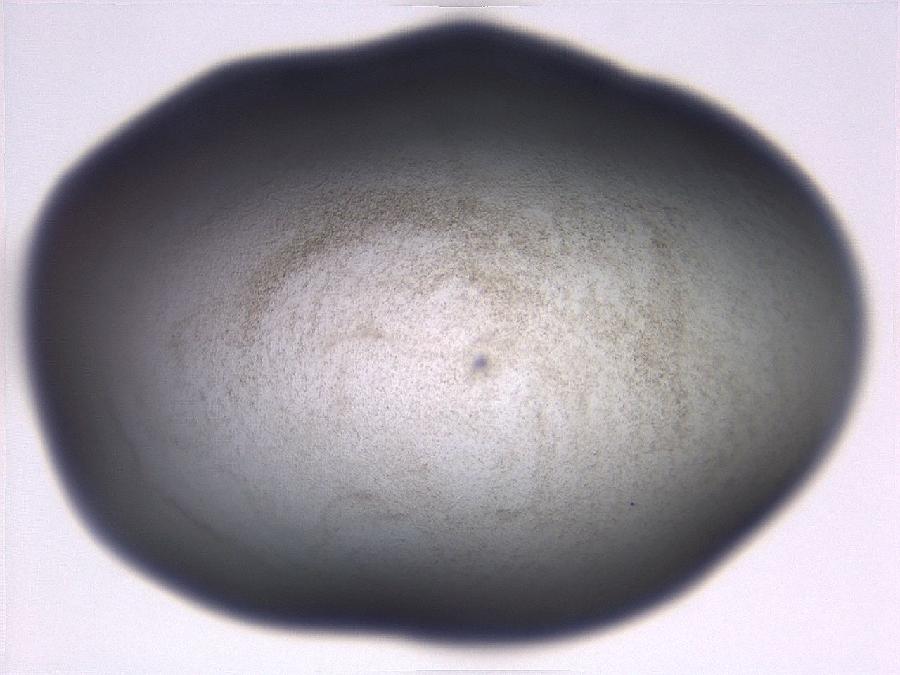 06eb_B1_ImagerDefaults_3.jpg