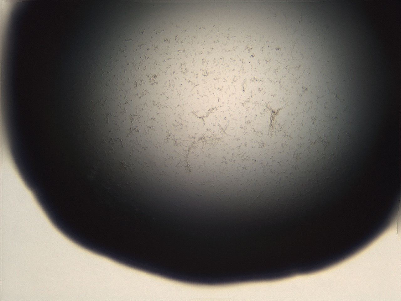 06eb_B3_ImagerDefaults_3.jpg