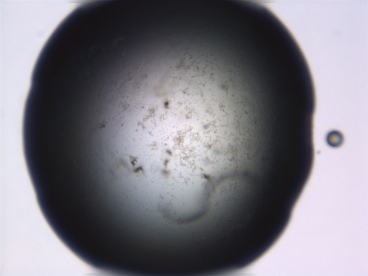 06eb_B5_ImagerDefaults_3.jpg