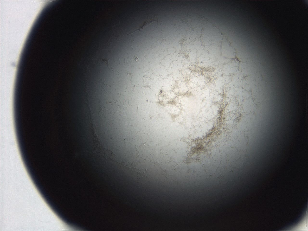 06eb_B12_ImagerDefaults_3.jpg