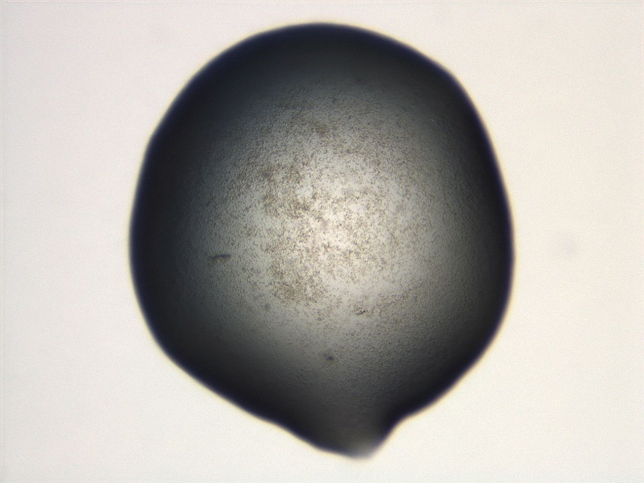 06eb_D9_ImagerDefaults_3.jpg