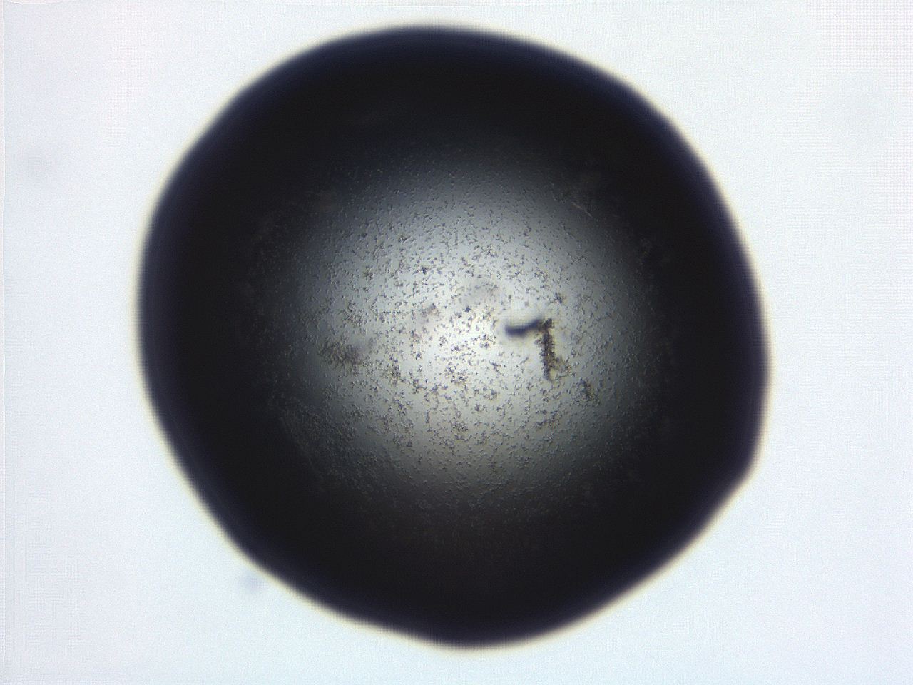 06eb_D10_ImagerDefaults_3.jpg