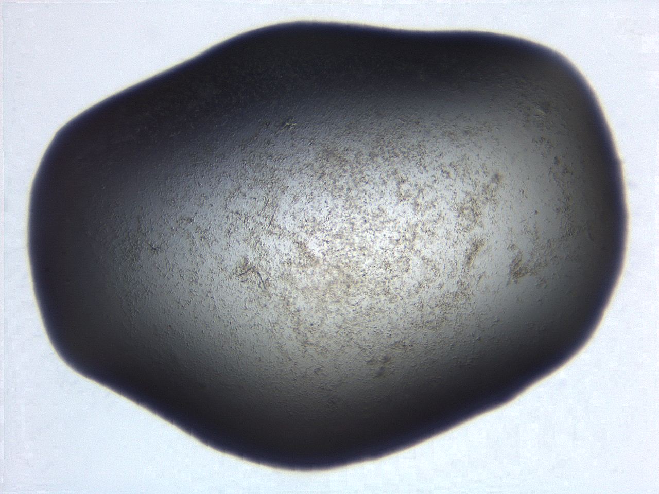 06eb_E6_ImagerDefaults_3.jpg
