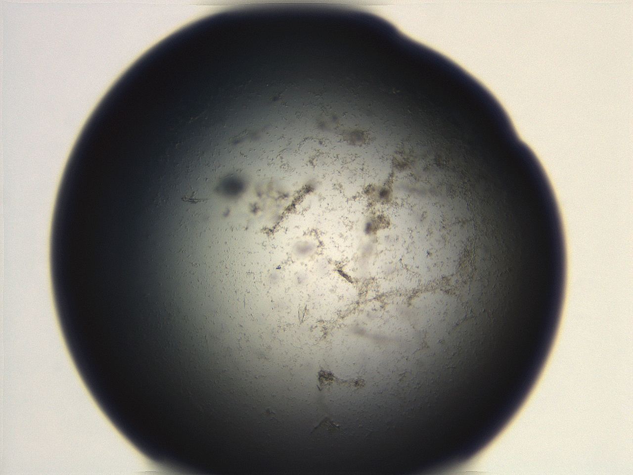 06eb_E9_ImagerDefaults_3.jpg