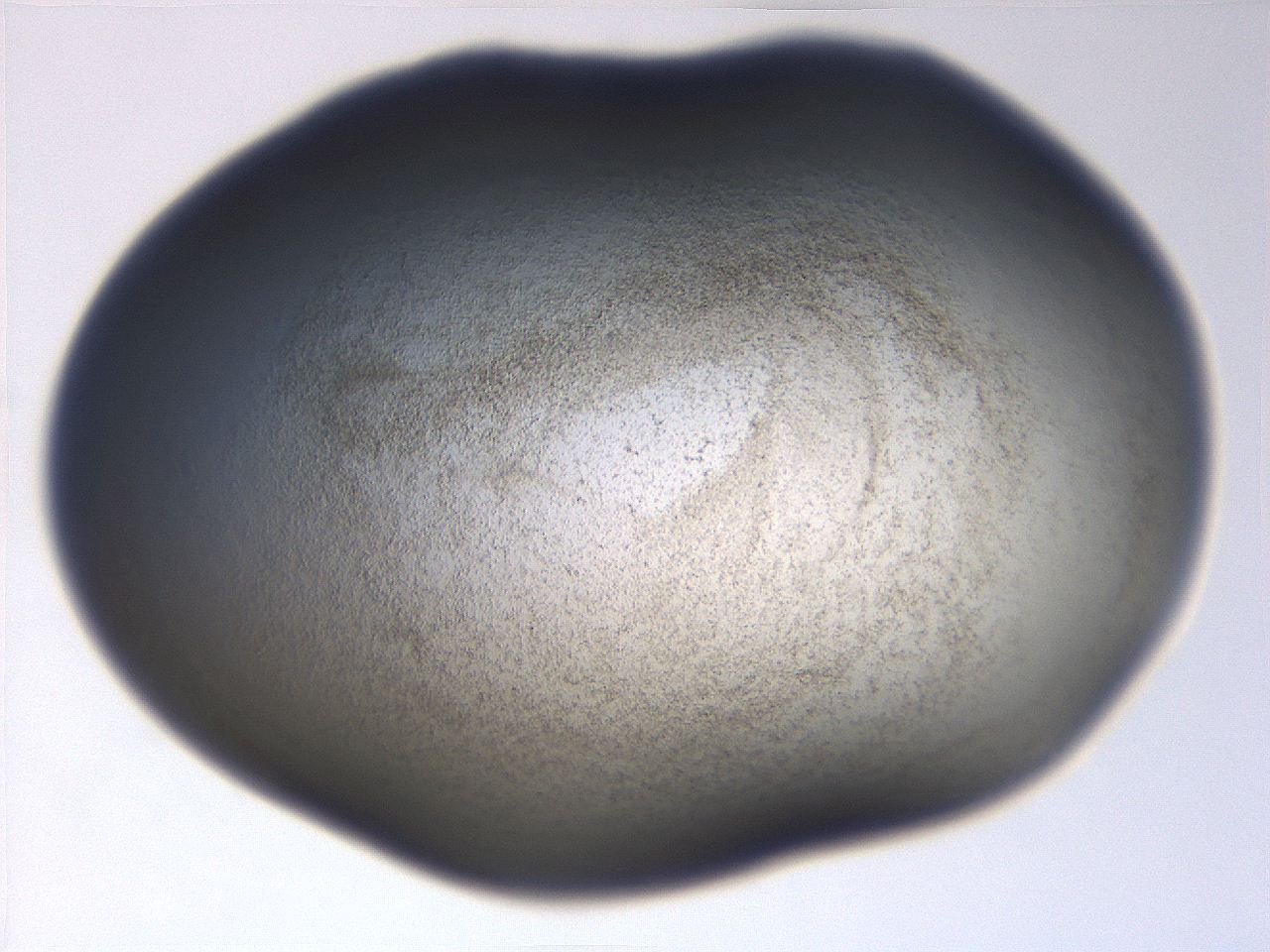 06eb_A1_ImagerDefaults_3.jpg