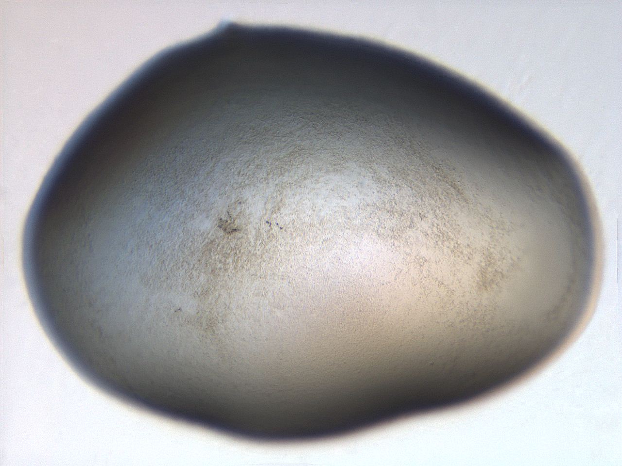 06eb_A2_ImagerDefaults_3.jpg