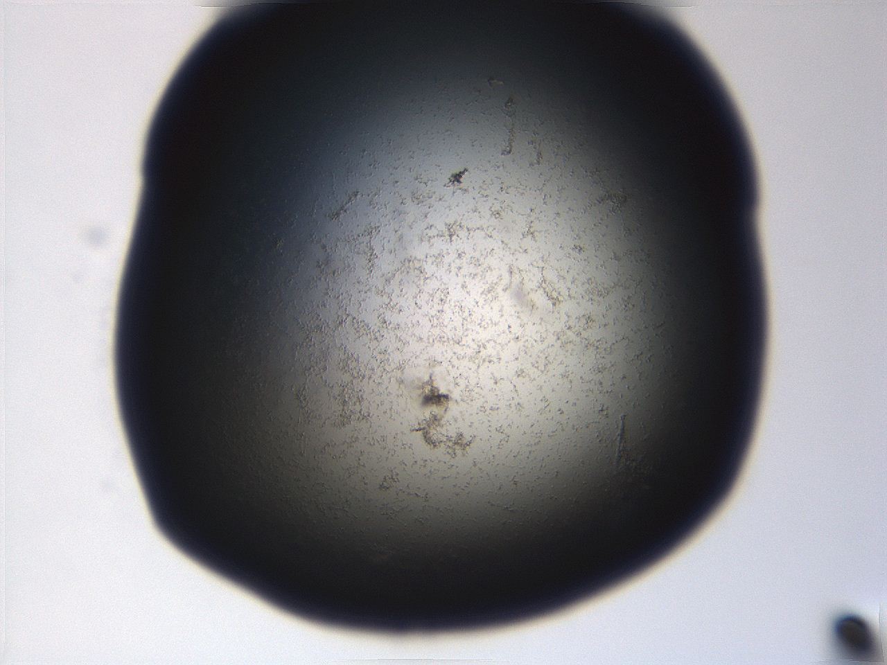 06eb_A4_ImagerDefaults_3.jpg
