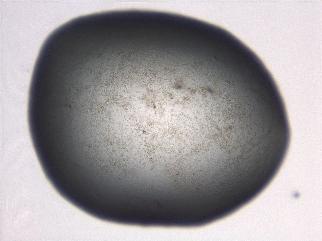 06eb_B7_ImagerDefaults_3.jpg