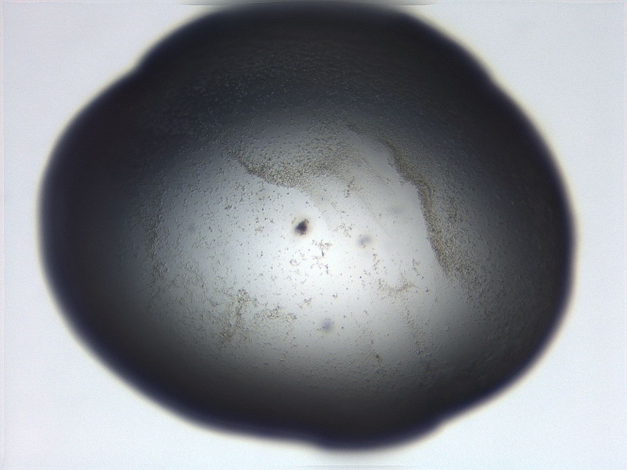 06eb_C1_ImagerDefaults_3.jpg