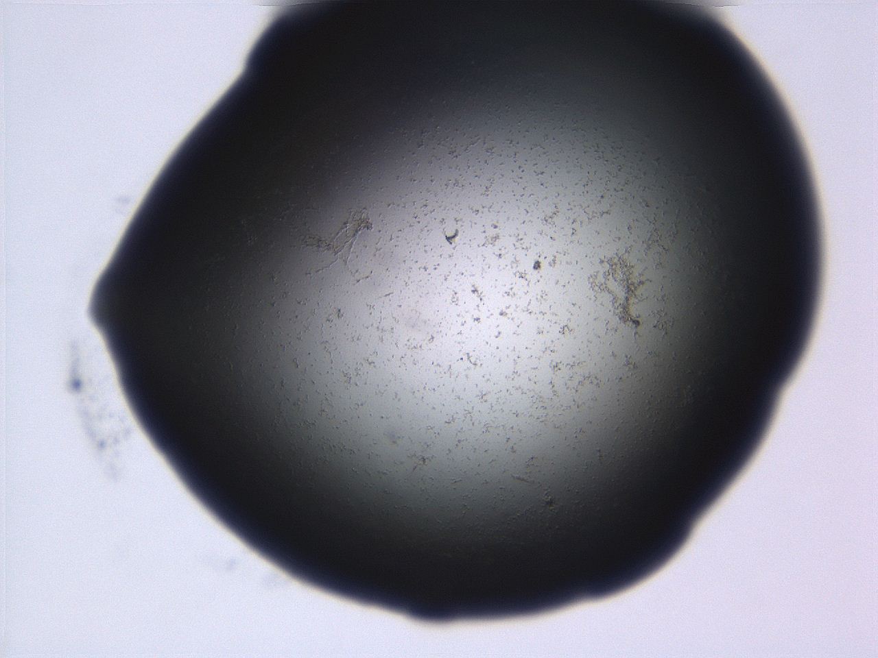 06eb_C2_ImagerDefaults_3.jpg