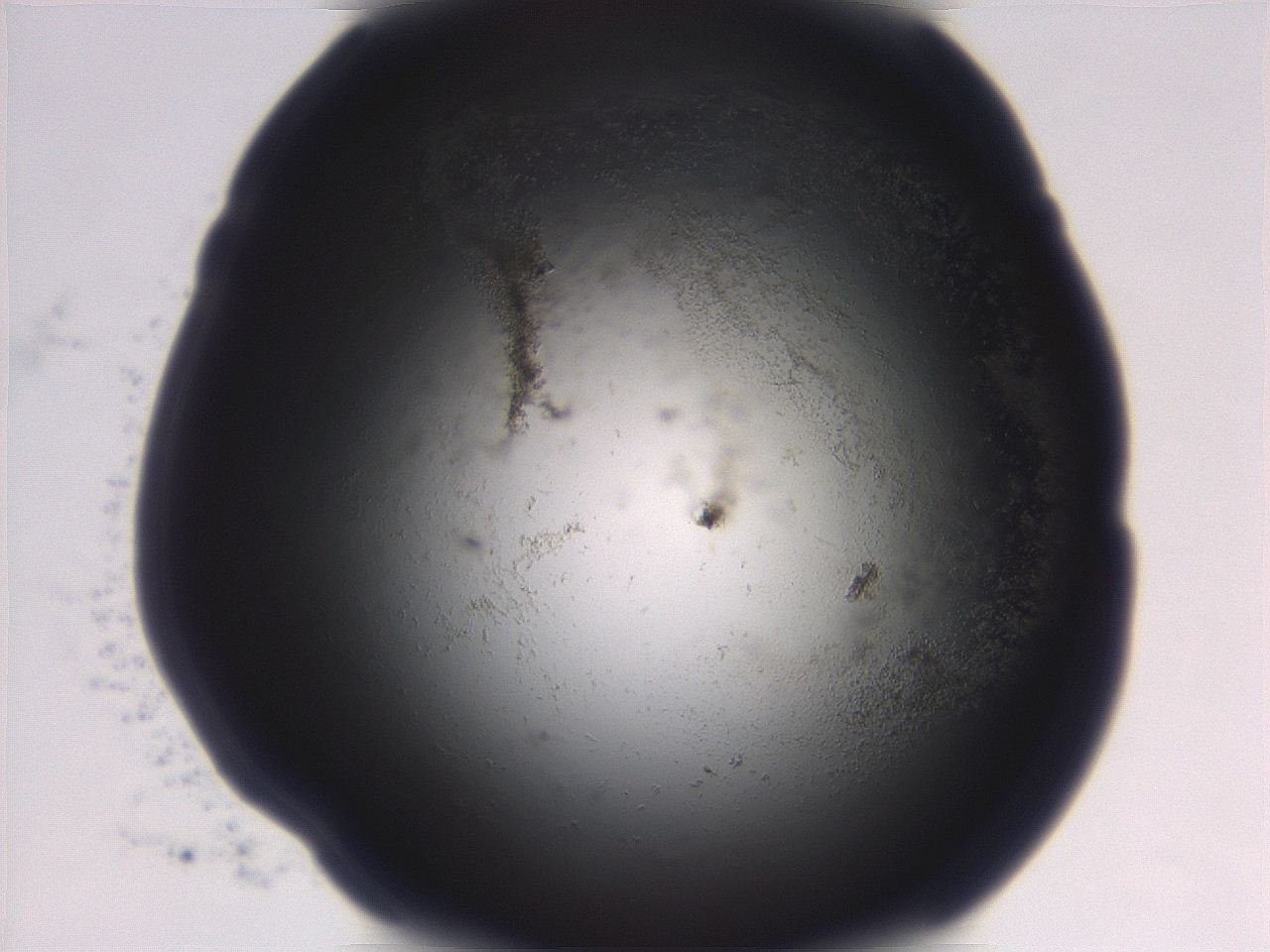 06eb_C3_ImagerDefaults_3.jpg