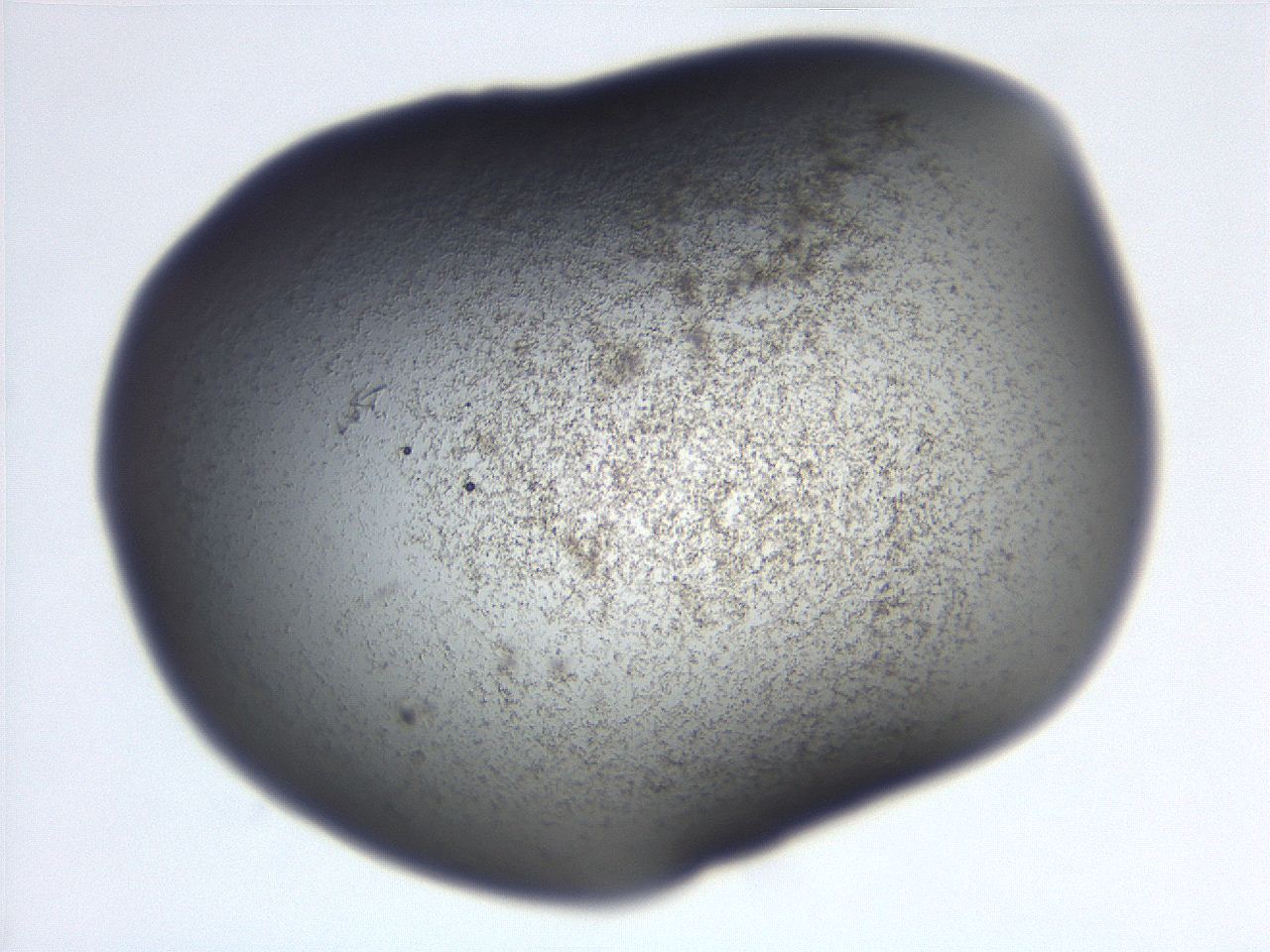 06eb_C5_ImagerDefaults_3.jpg