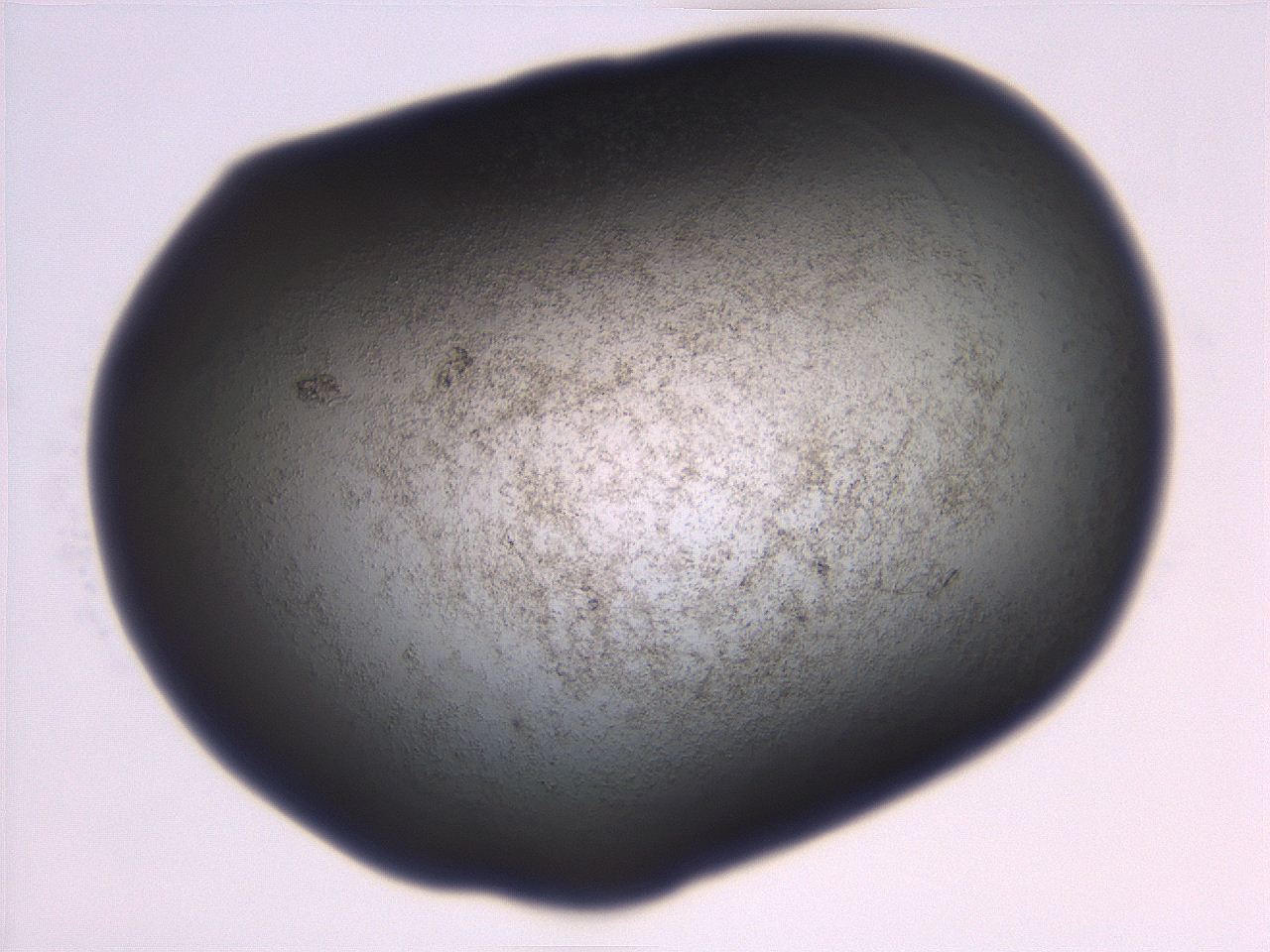 06eb_C6_ImagerDefaults_3.jpg