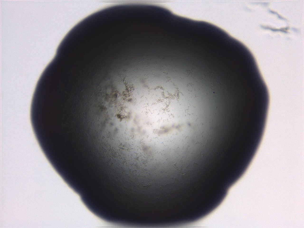 06eb_C7_ImagerDefaults_3.jpg