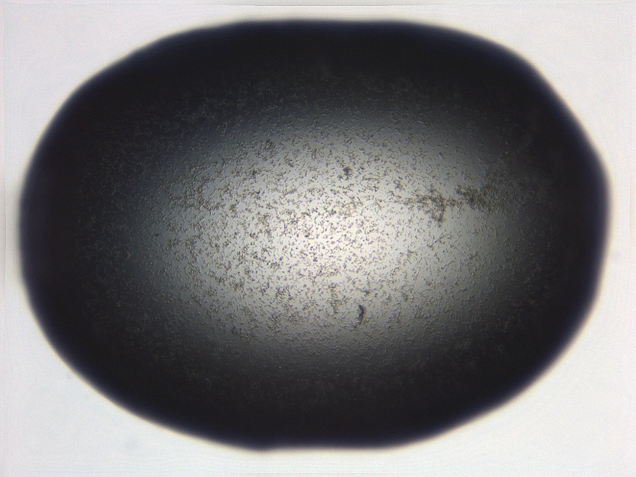 06eb_C9_ImagerDefaults_3.jpg