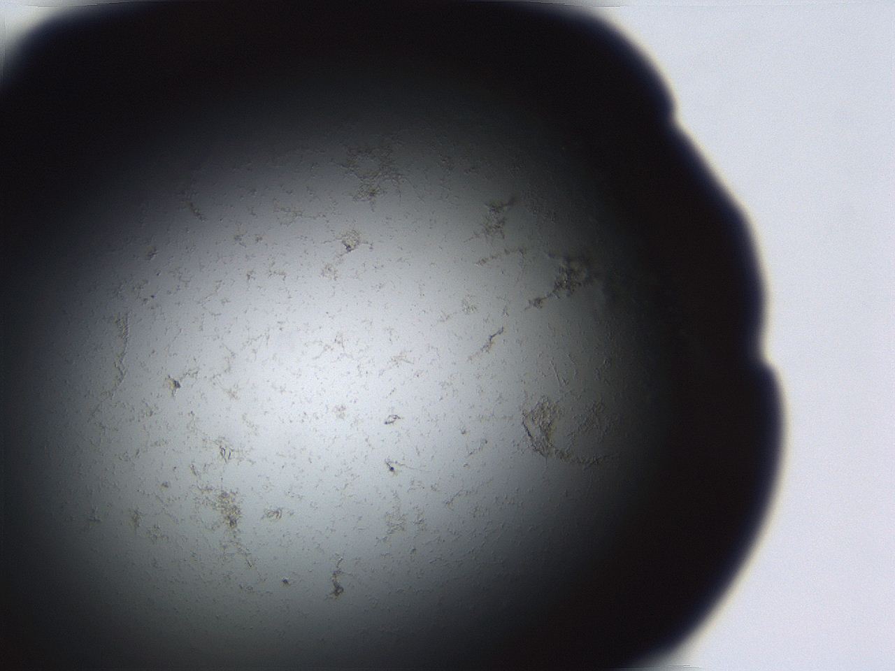 06eb_C10_ImagerDefaults_3.jpg