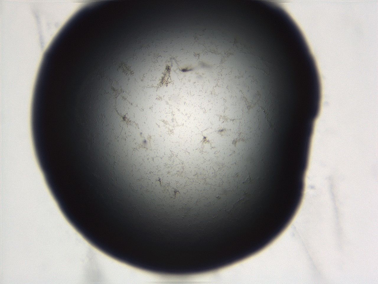 06eb_C11_ImagerDefaults_3.jpg