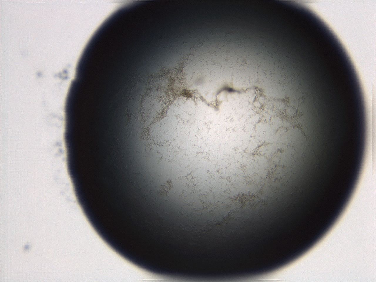 06eb_C12_ImagerDefaults_3.jpg