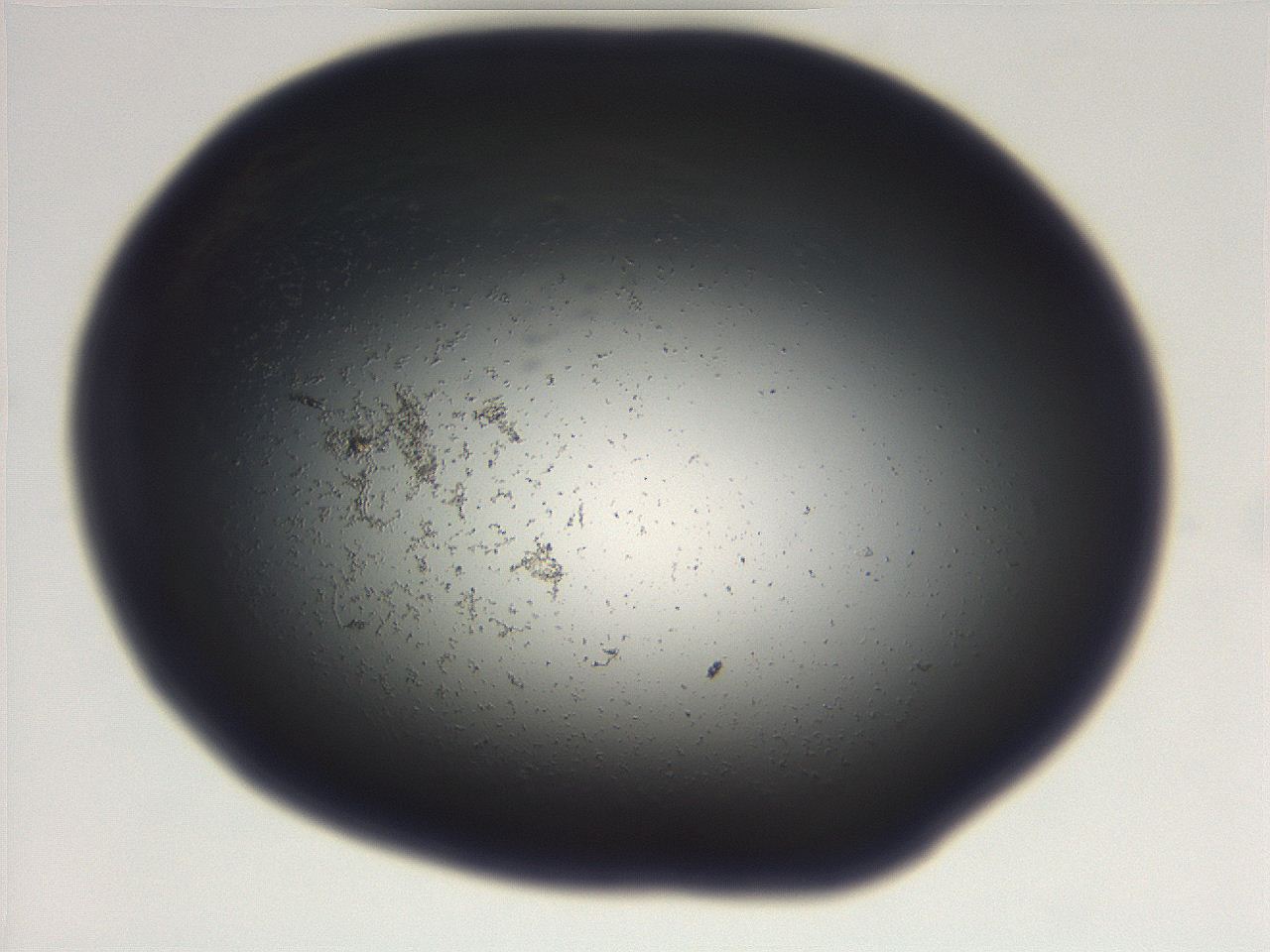 06eb_D1_ImagerDefaults_0.jpg