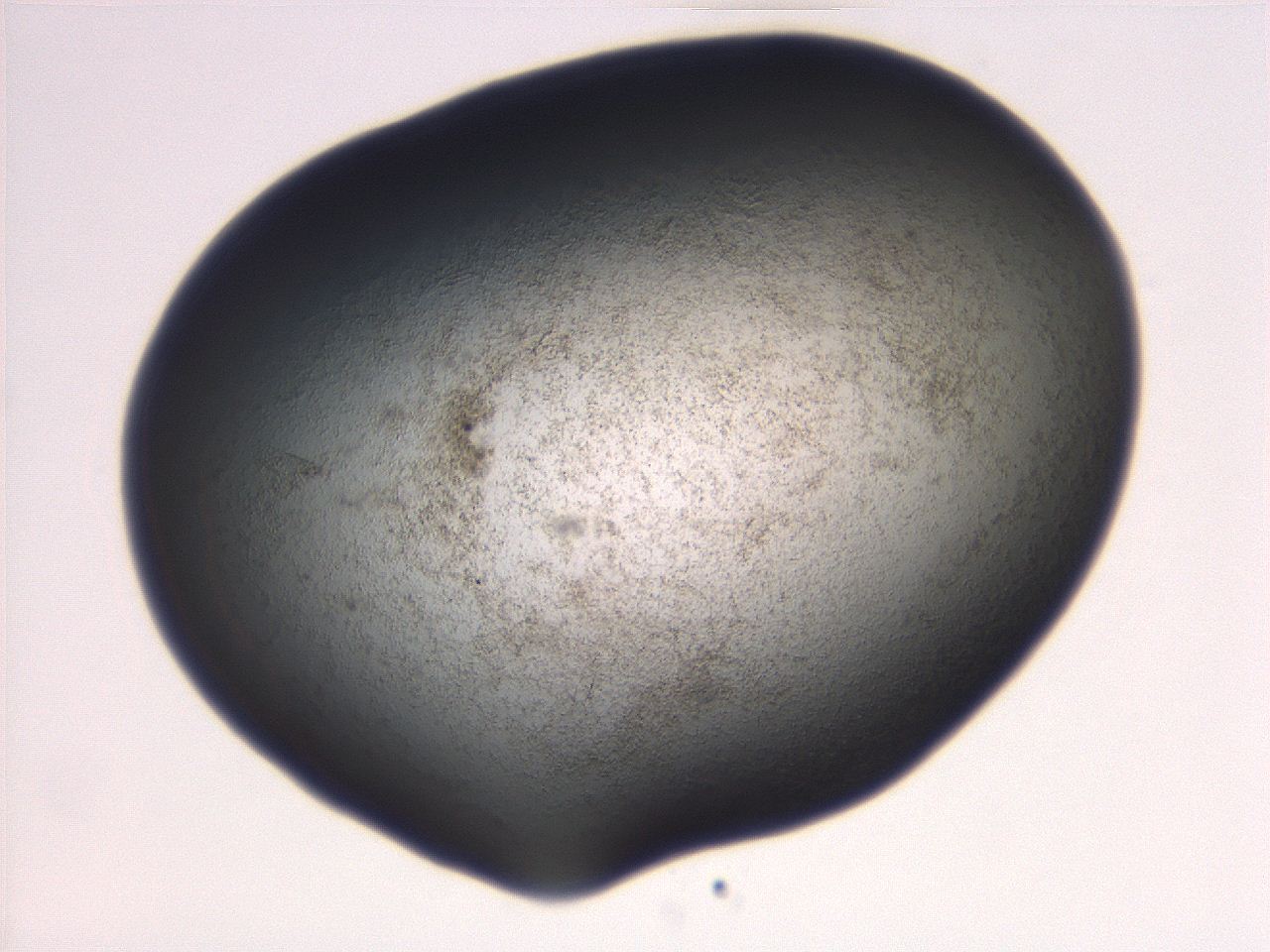 06eb_D4_ImagerDefaults_3.jpg