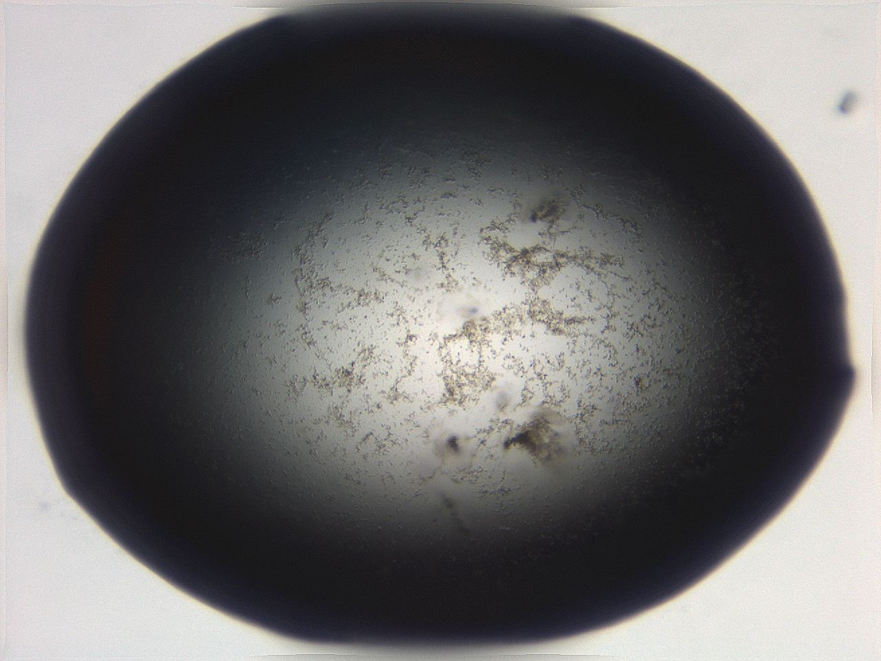 06eb_D5_ImagerDefaults_3.jpg