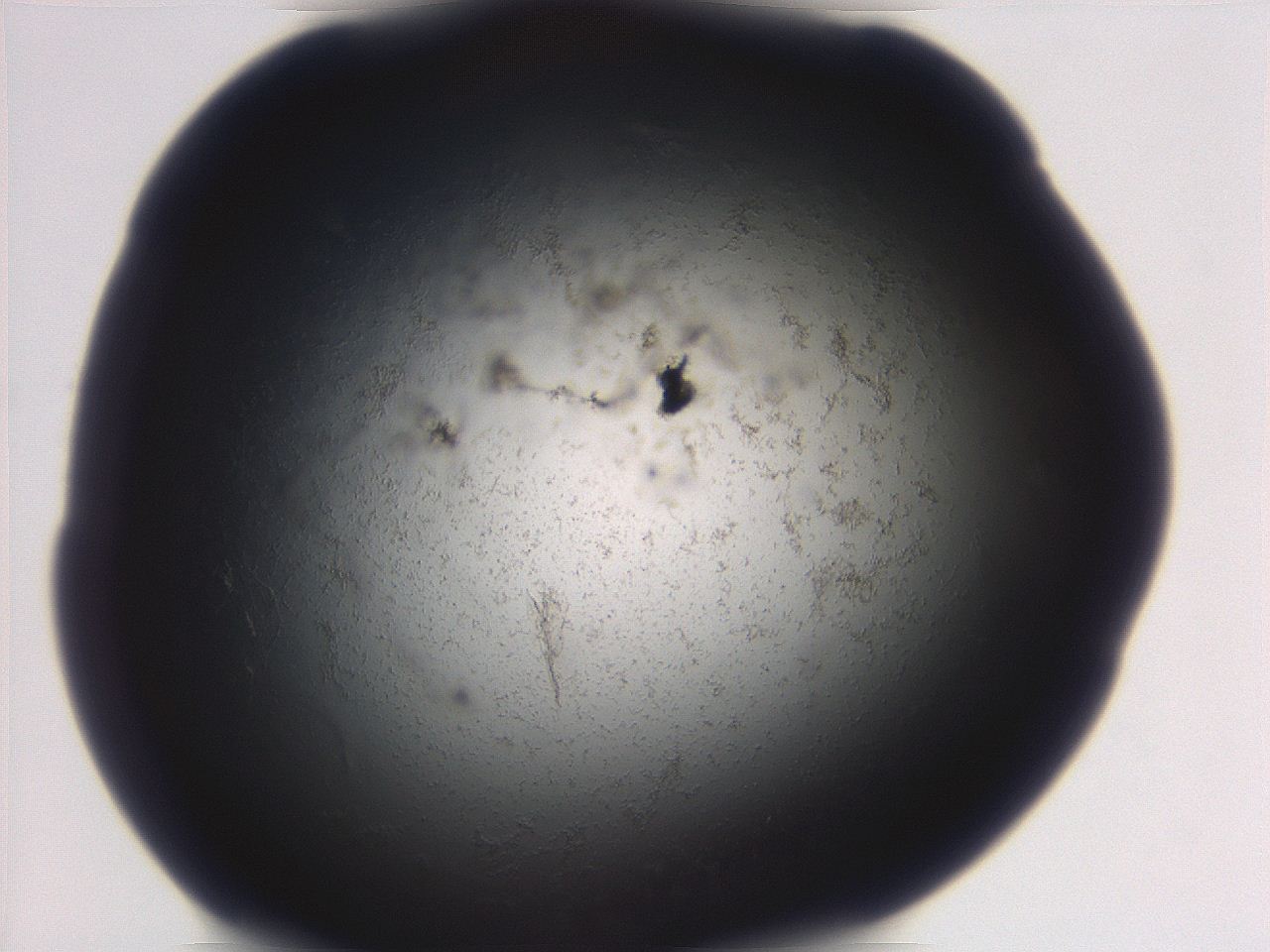 06eb_D8_ImagerDefaults_3.jpg