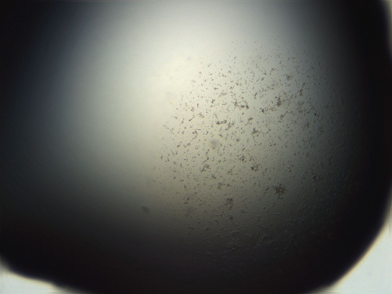 06eb_E10_ImagerDefaults_3.jpg