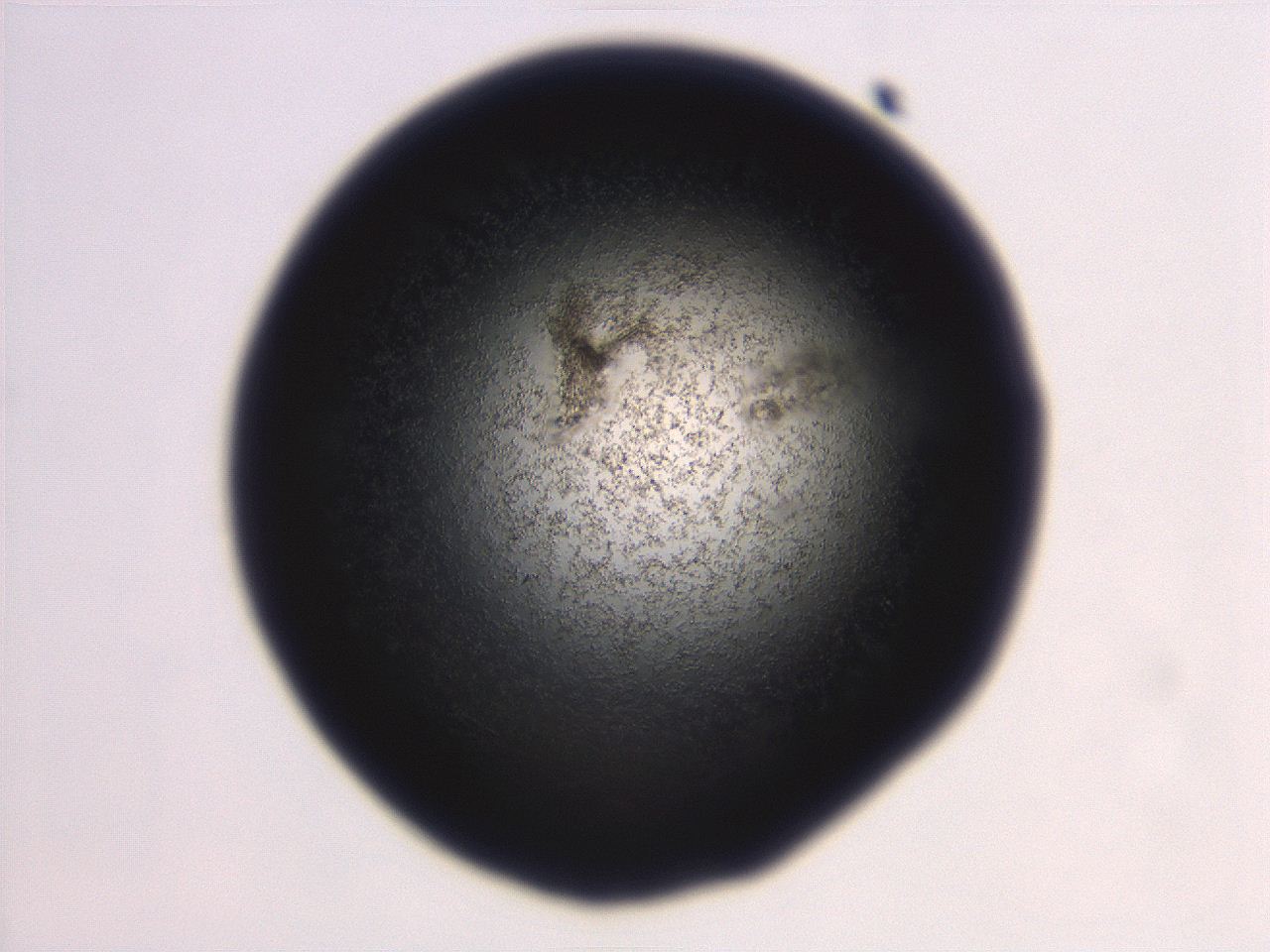 06eb_E11_ImagerDefaults_3.jpg