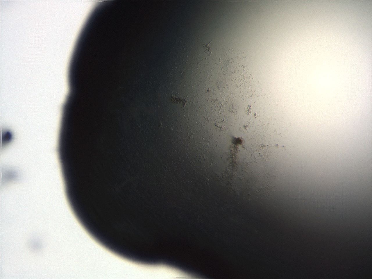 06eb_E12_ImagerDefaults_3.jpg