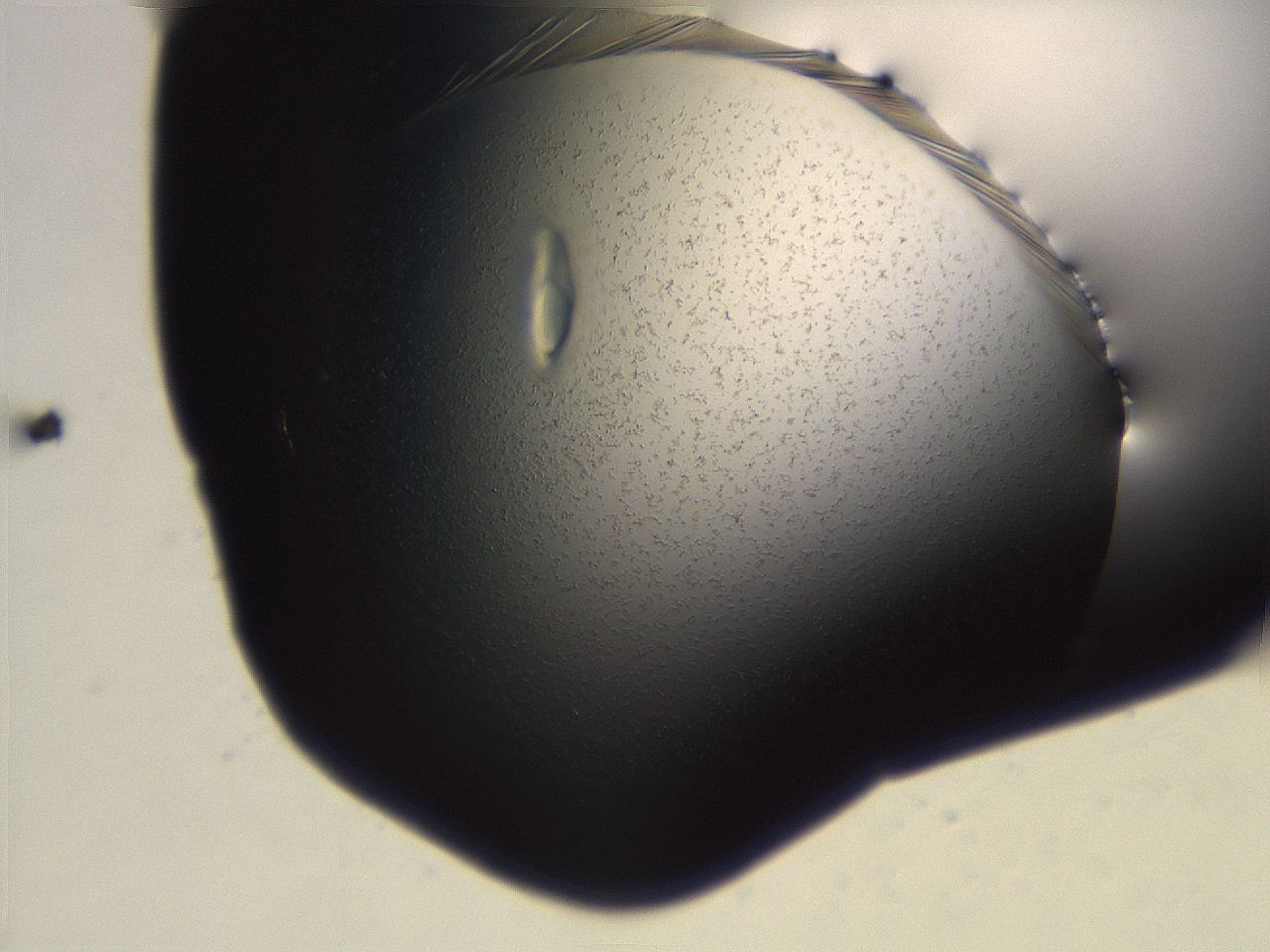 06eb_F1_ImagerDefaults_3.jpg