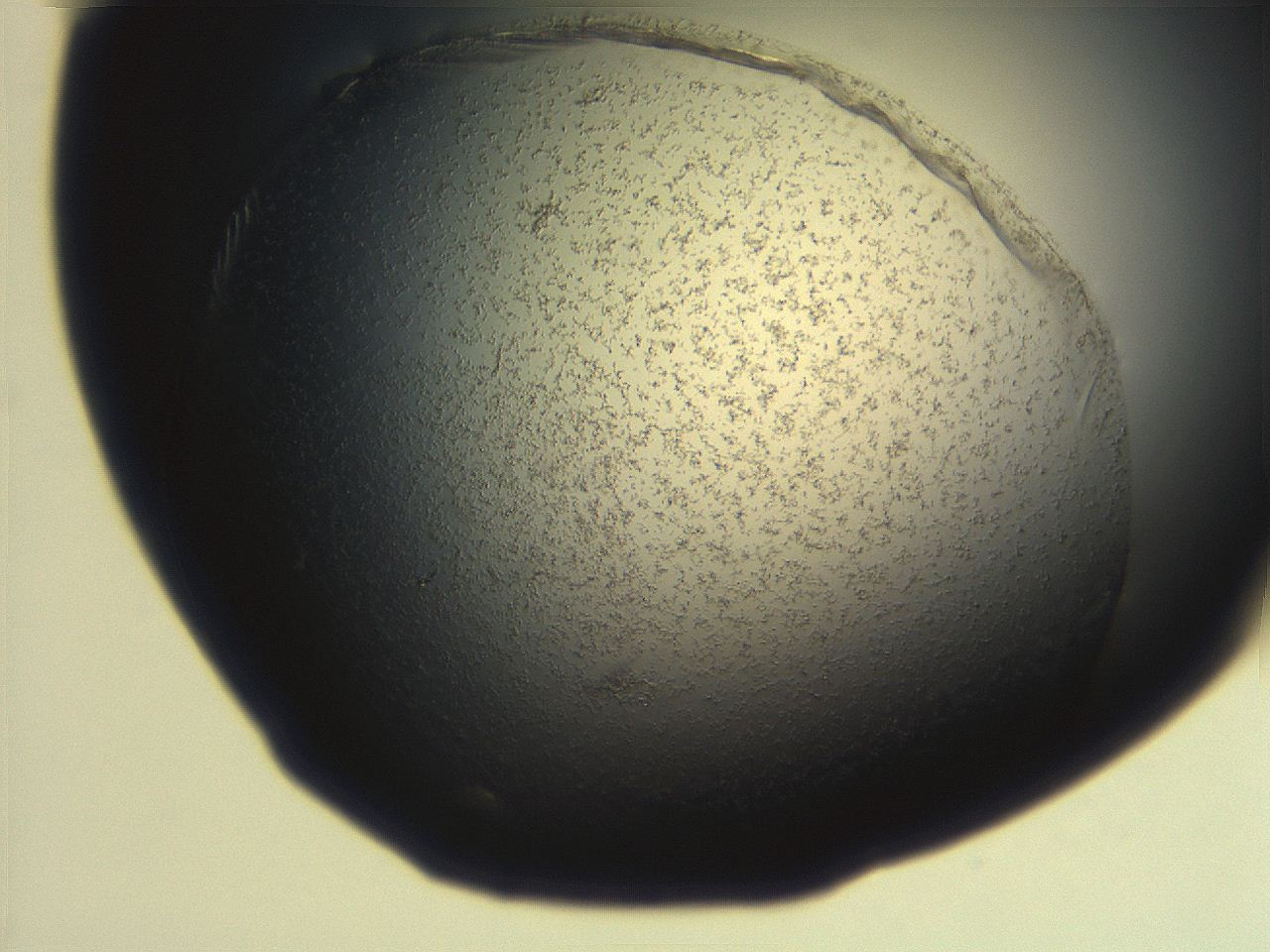 06eb_F2_ImagerDefaults_3.jpg