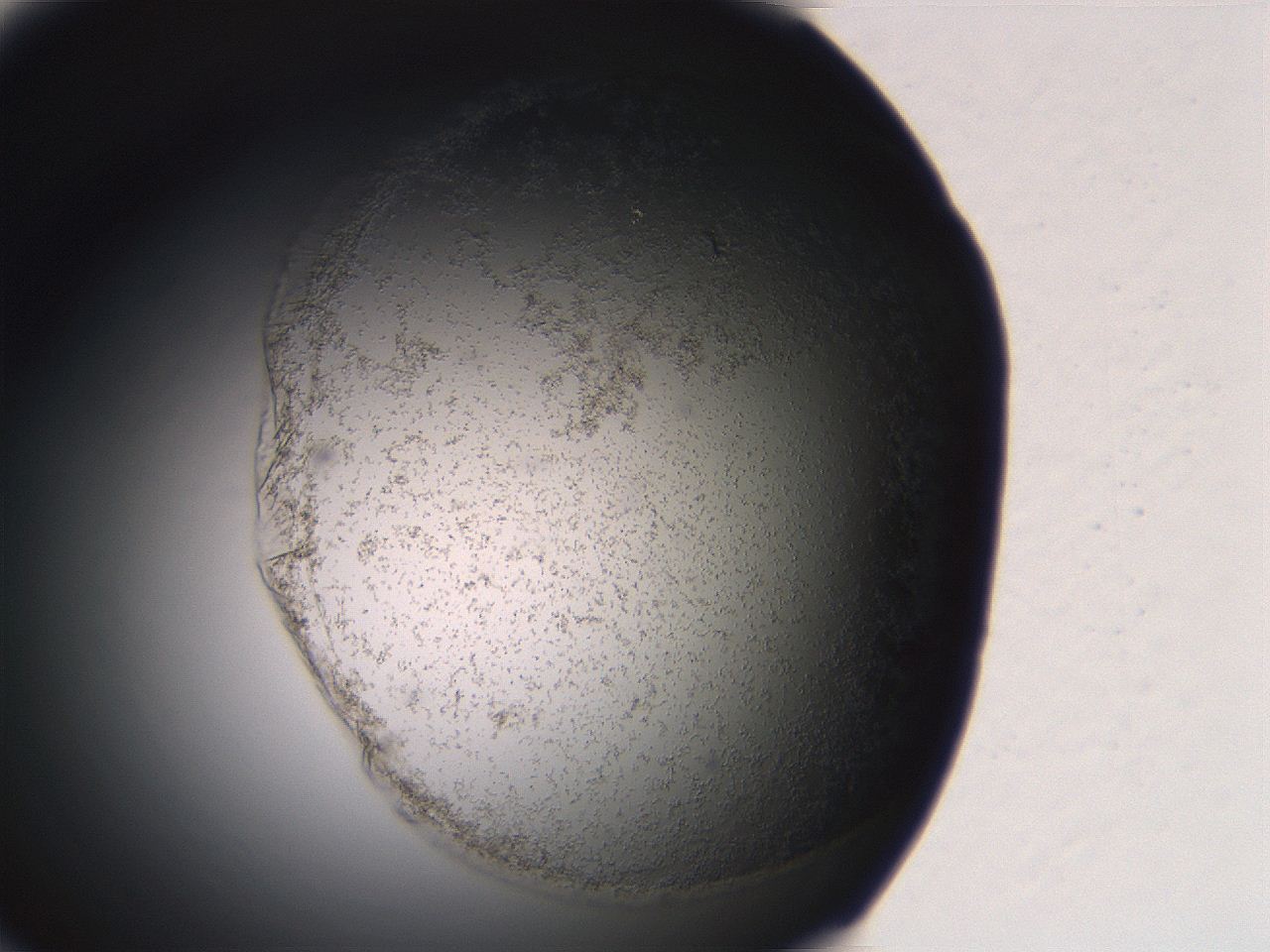 06eb_F3_ImagerDefaults_3.jpg