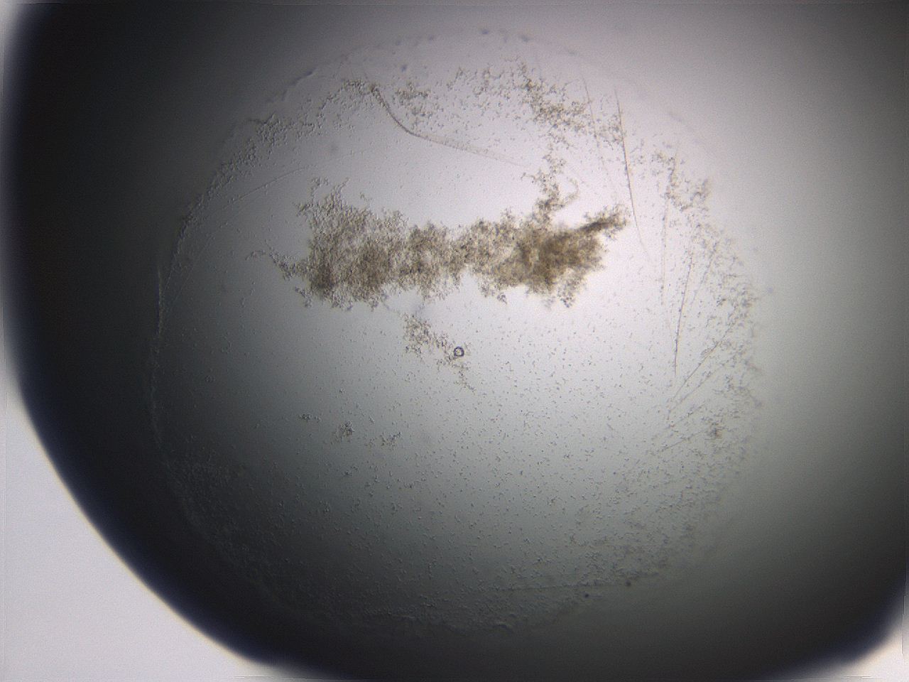 06eb_F7_ImagerDefaults_3.jpg
