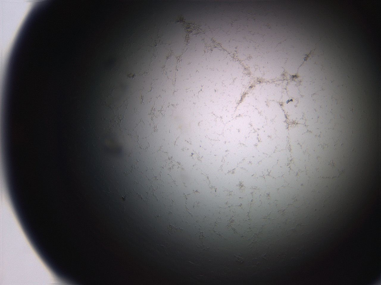 06eb_F11_ImagerDefaults_3.jpg
