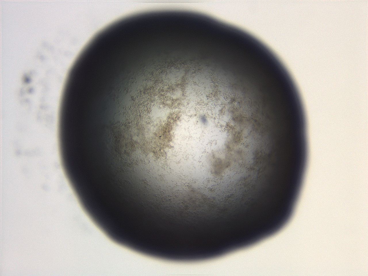 06eb_F12_ImagerDefaults_3.jpg