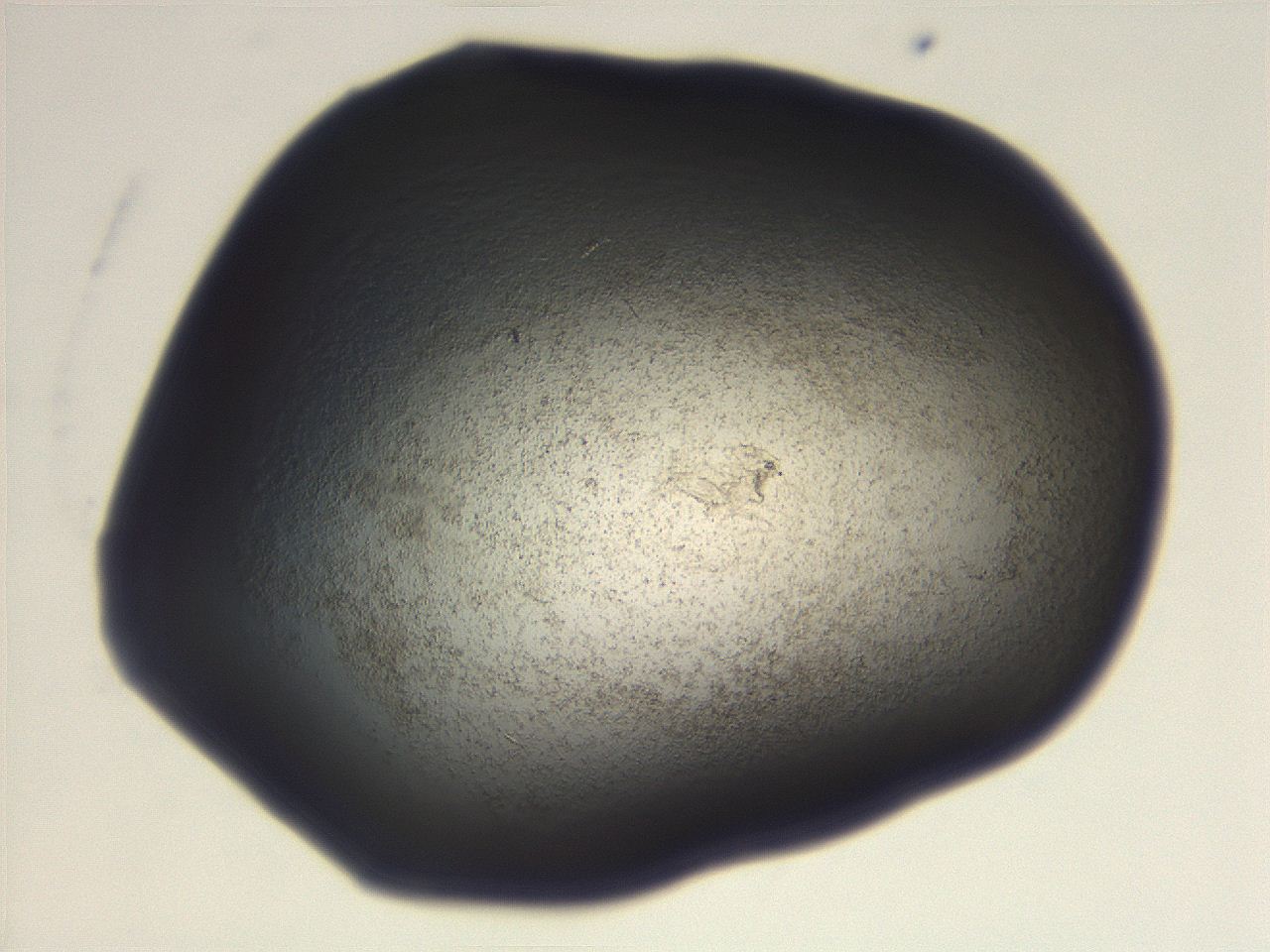 06eb_G1_ImagerDefaults_3.jpg