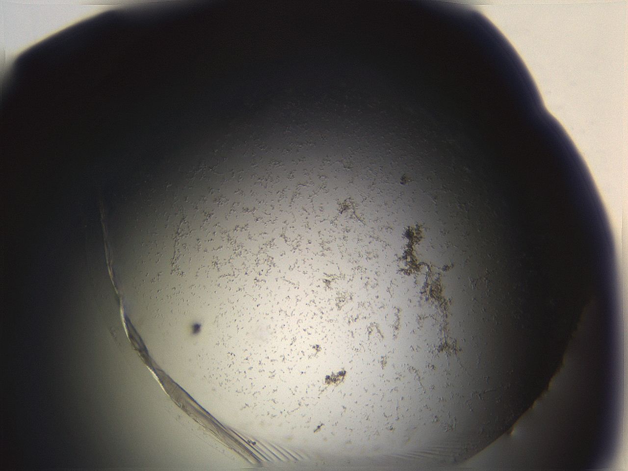 06eb_G8_ImagerDefaults_3.jpg