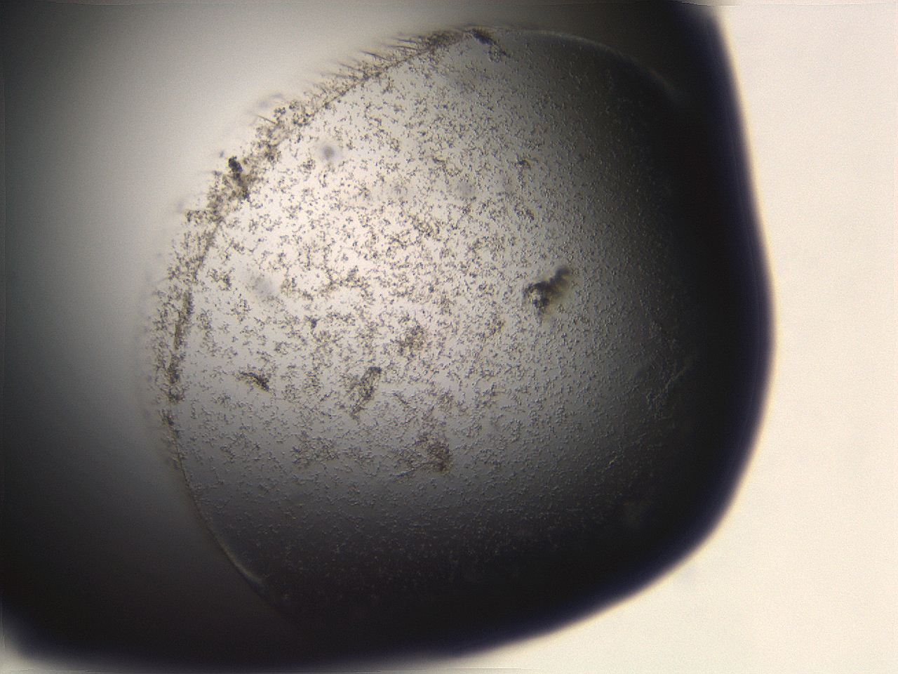 06eb_G9_ImagerDefaults_3.jpg