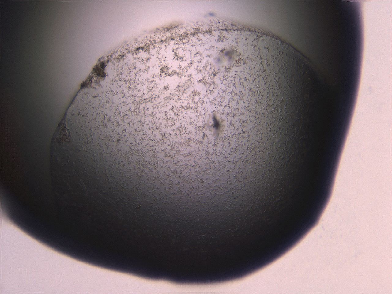 06eb_G10_ImagerDefaults_3.jpg
