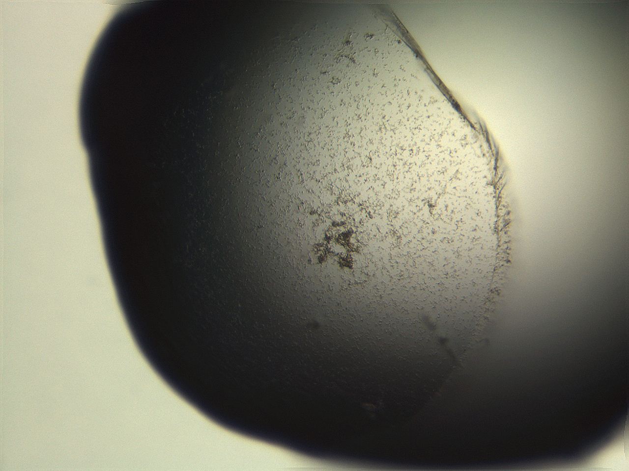 06eb_G11_ImagerDefaults_3.jpg