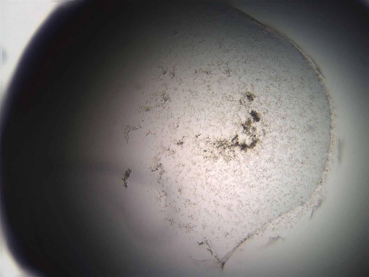 06eb_G12_ImagerDefaults_3.jpg