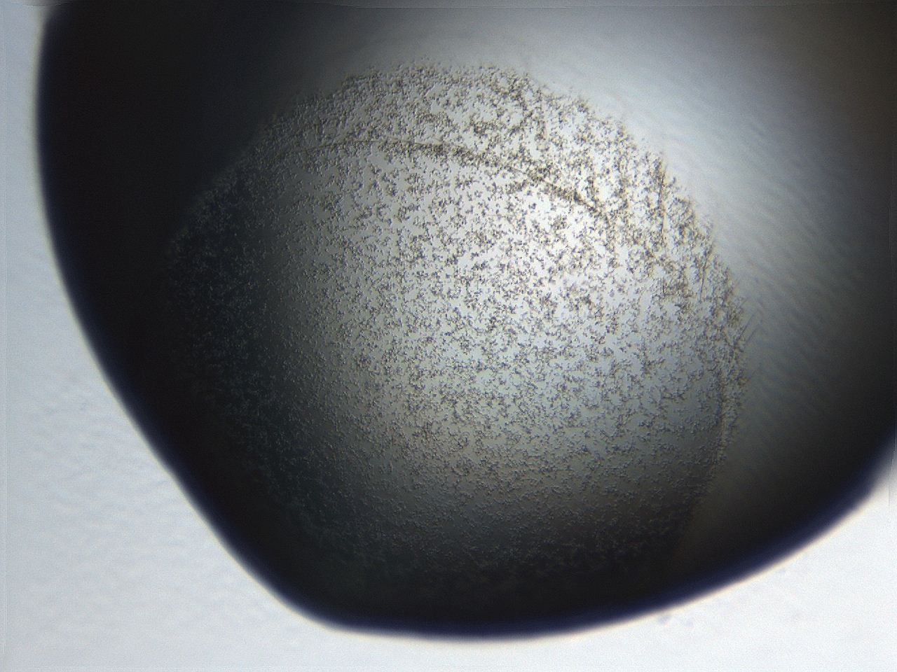 06eb_H1_ImagerDefaults_3.jpg
