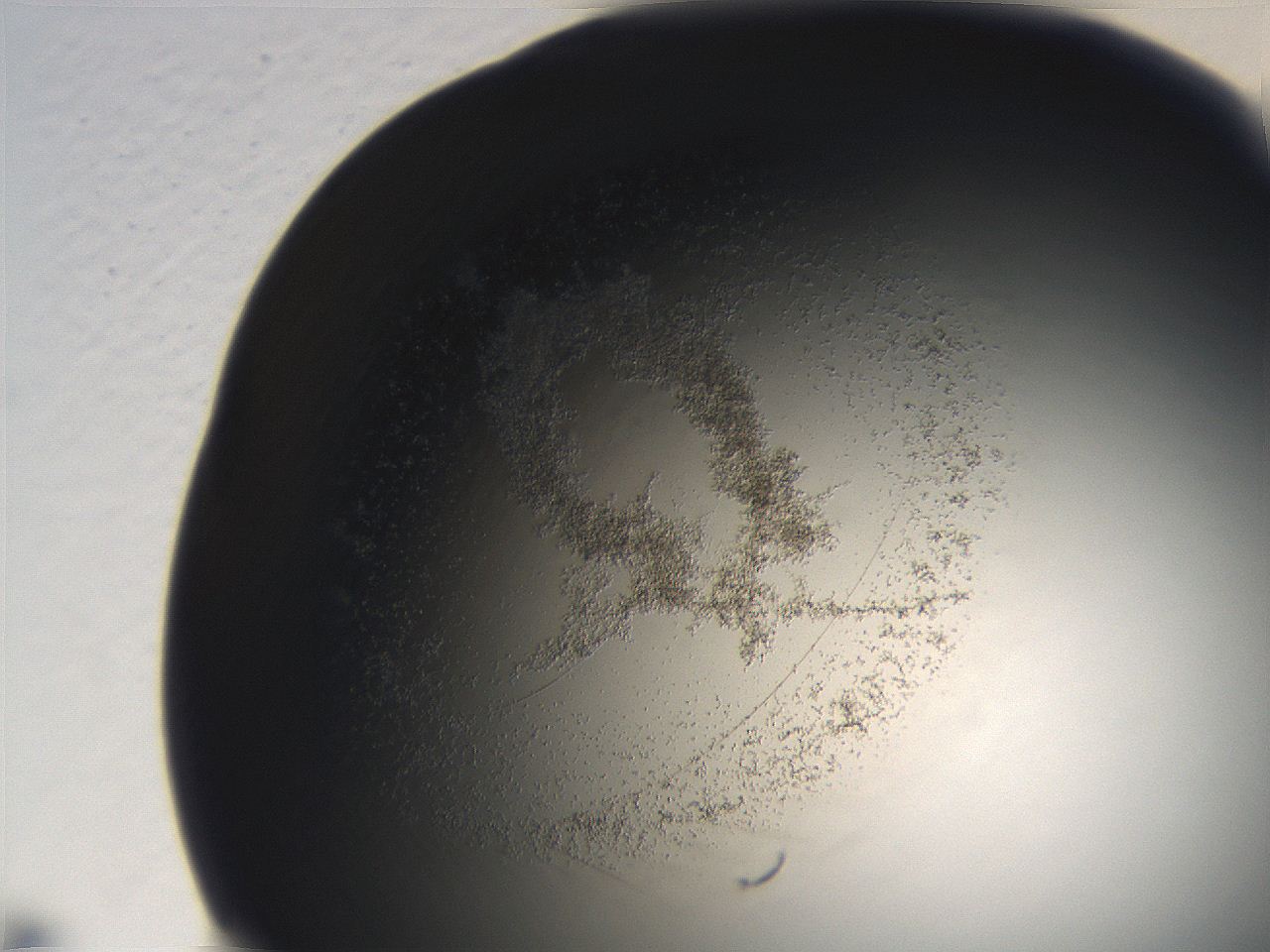 06eb_H4_ImagerDefaults_3.jpg